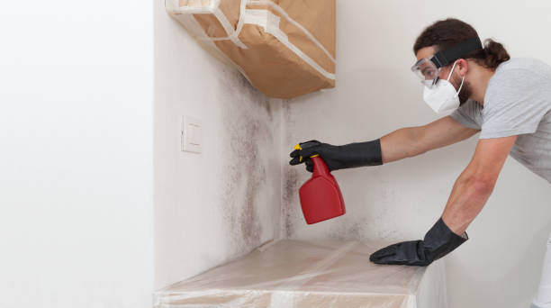 Professional Crawl Space Mold Remediation technician working in Union Pier, MI