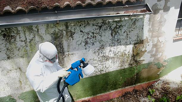 Top rated local Crawl Space Mold Remediation specialists in Union Pier, MI